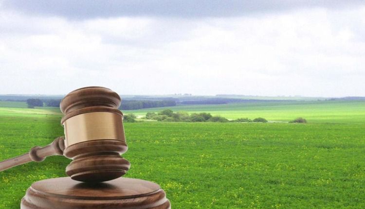 Установление границ земельного участка в суде